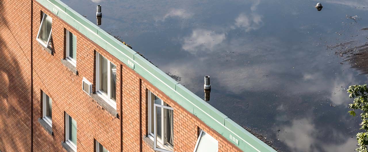 puddle on the roof