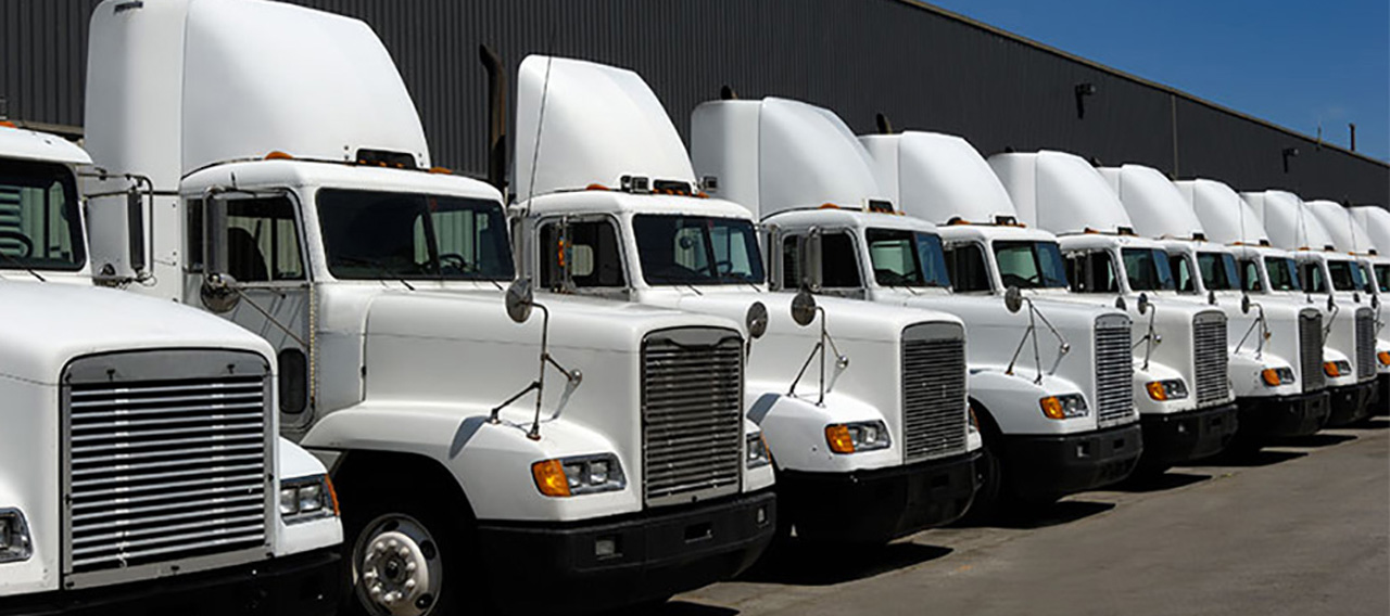 row of parked trucks