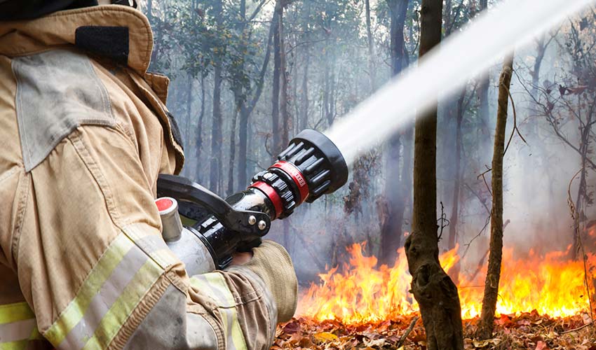 A firefighter pointing a hose at a forest fire