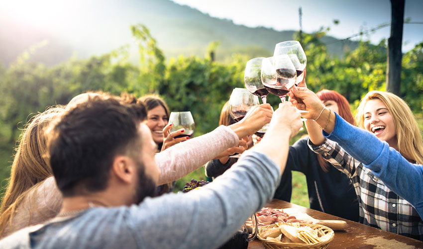 people at vineyard cheering with wine glasses