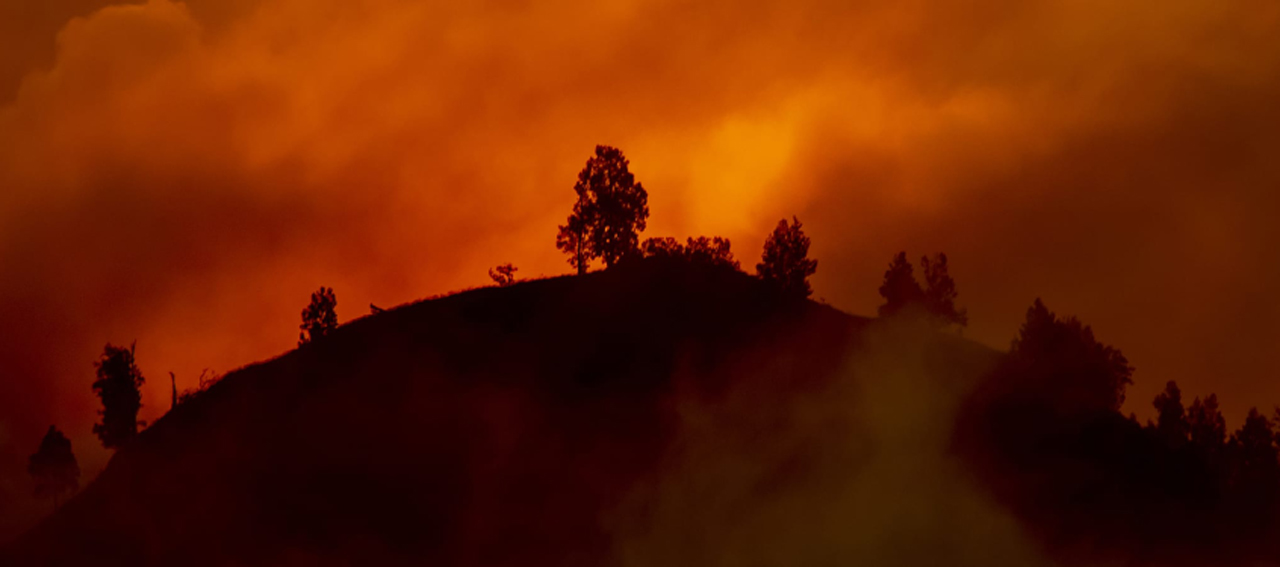 wildfire