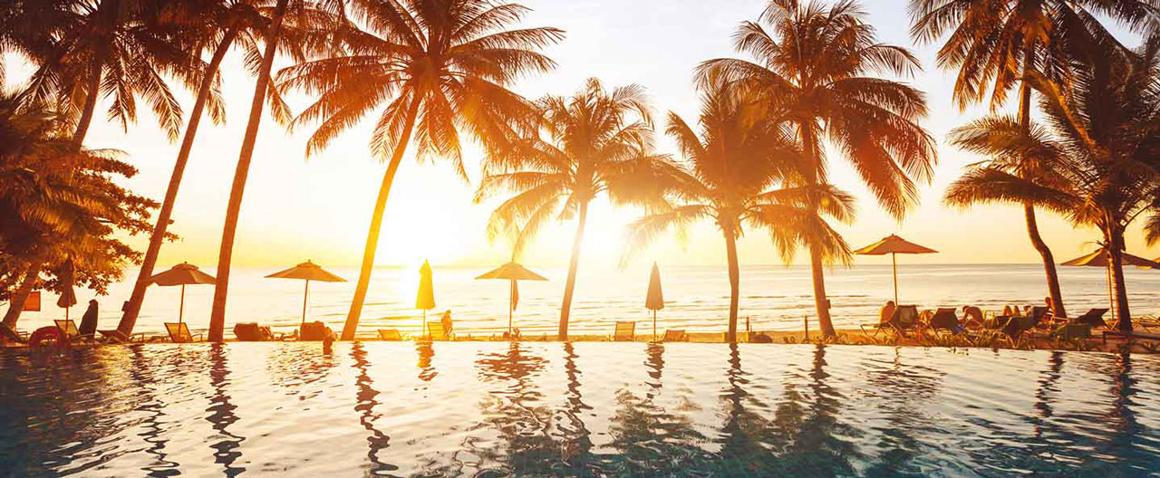 luxury swimming pool with palm trees