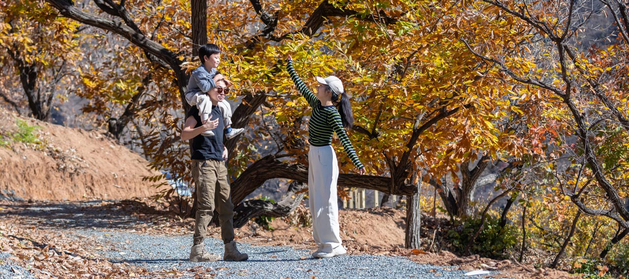 couple enjoying autumn foliage