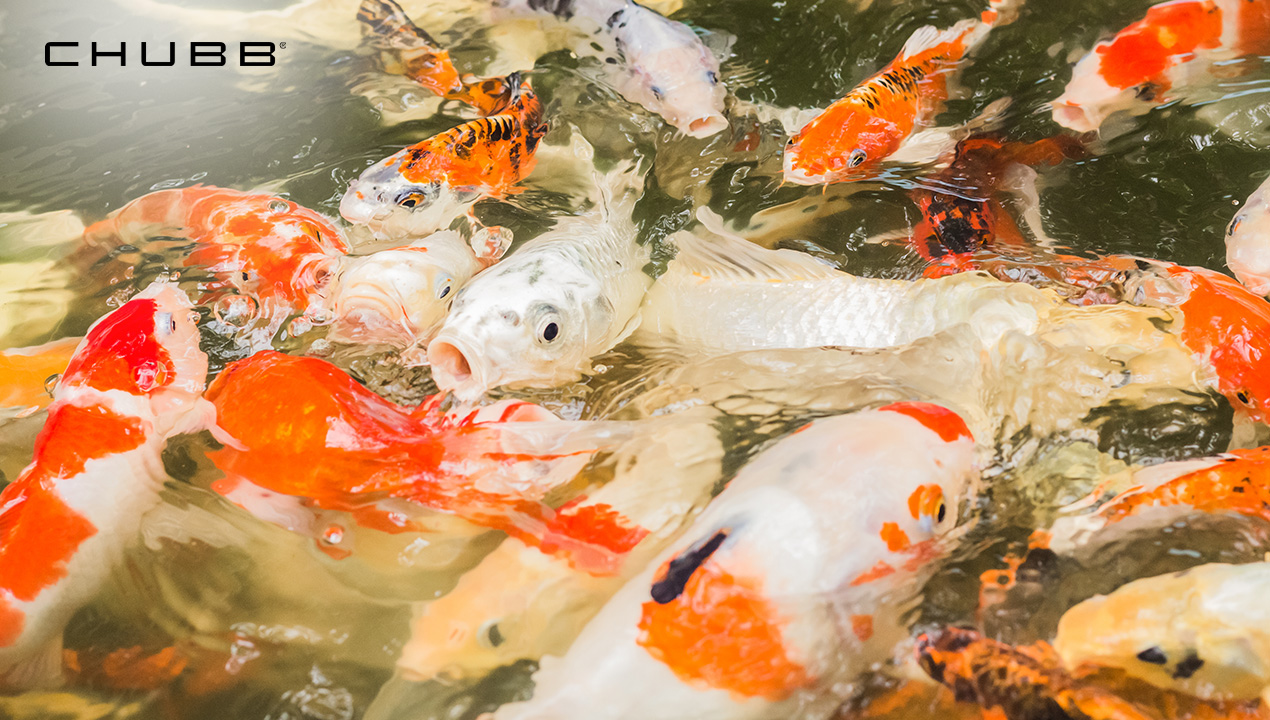 วิธีแก้เคล็ดเลขบ้านไม่มงคล