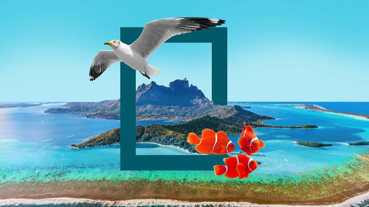 Chubb Life, ประกันชีวิตChubb, Chubbthailand, ชับบ์ไลฟ์ประกันชีวิต, ChubblifeInsurance,  ประกันชีวิต, ชับบ์ไลฟ์, ประกันชีวิต ชับบ์ ไลฟ์, บริษัทประกันจากอเมริกา, ชับบ์ไลฟ์ประเทศไทย, WhenExcellenceMeetsExcellence