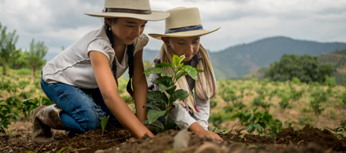 a little boy that is sitting in the grass