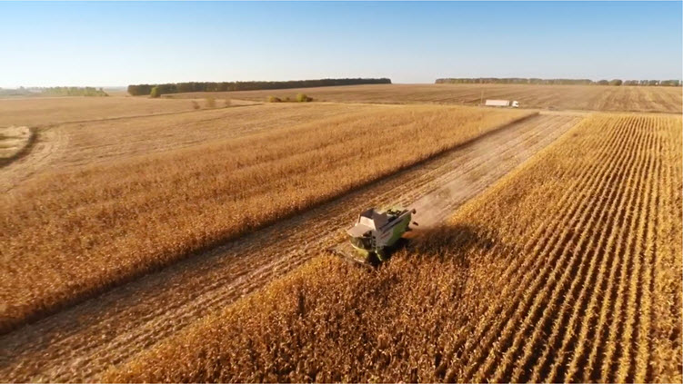 farm machine harvesting wheat