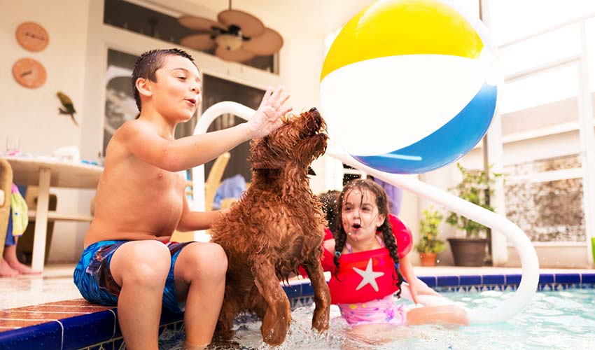 A little boy and girl playing in the pool of their insured home with their dog