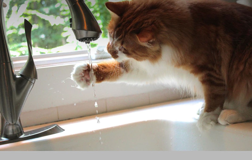 5 Questions to Help You Prevent Water Damage in Your Home