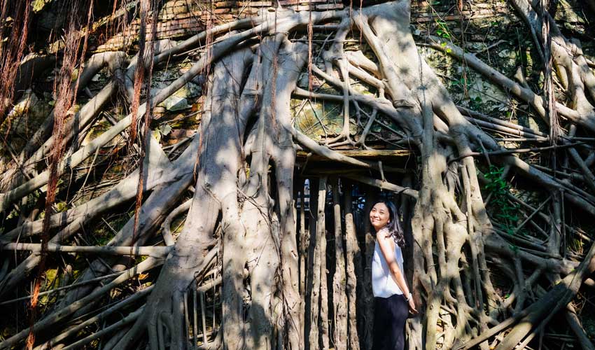 anping tree house in tainan city
