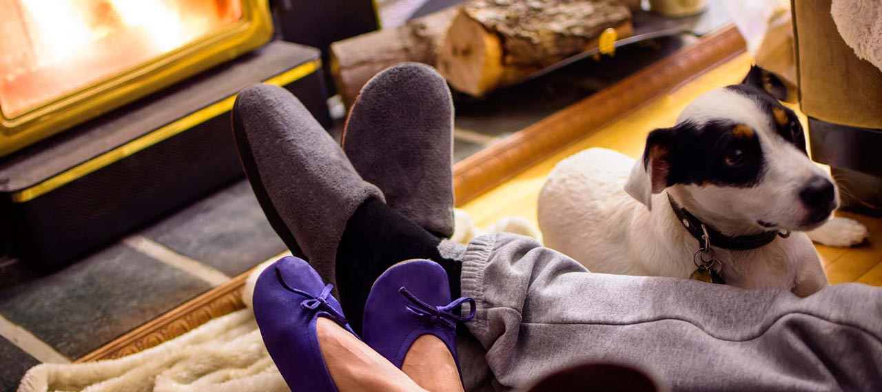 couple sitting with a dog in front of the fireplace