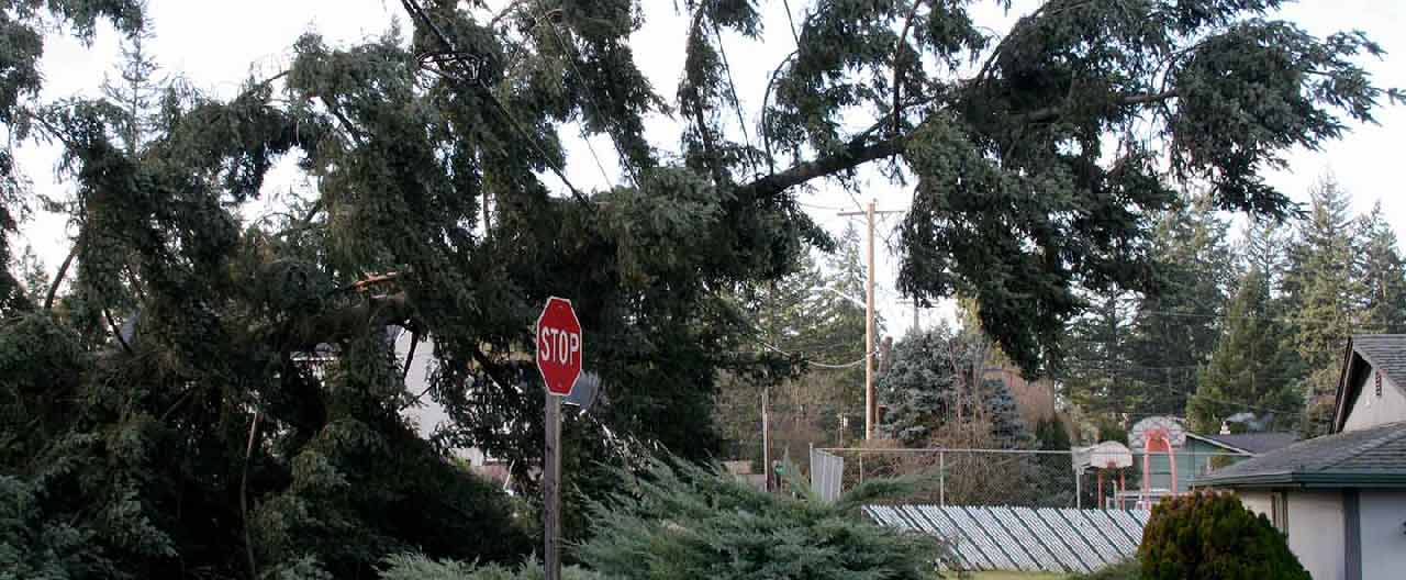hurricane protection for your home
