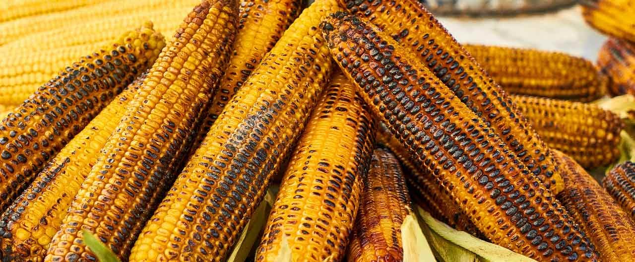 roasted corns