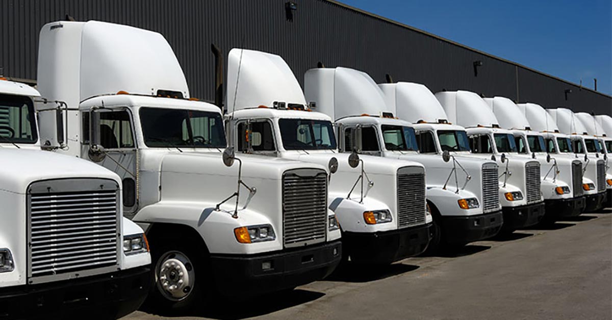 row of parked trucks