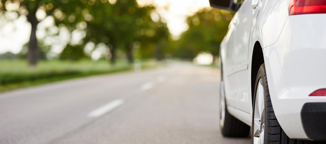 white car on the green road
