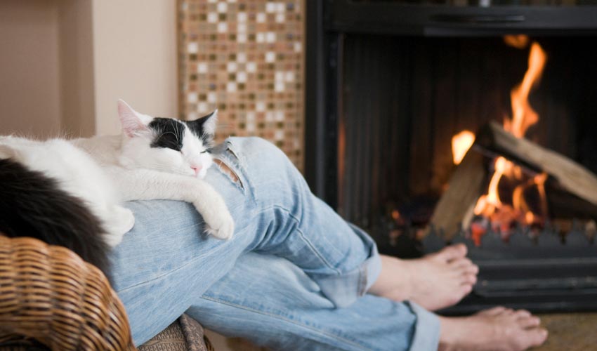 woman sitting with cat by the fire