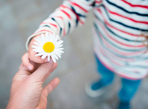 保險受益人該寫誰？詳解如何選擇、更改保險受益人