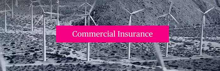 Commercial Insurance